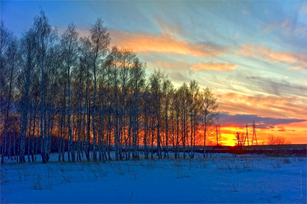 March dawn nature