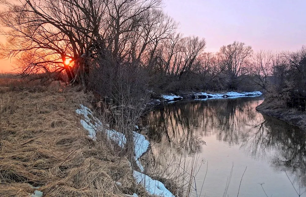 Early Spring evening