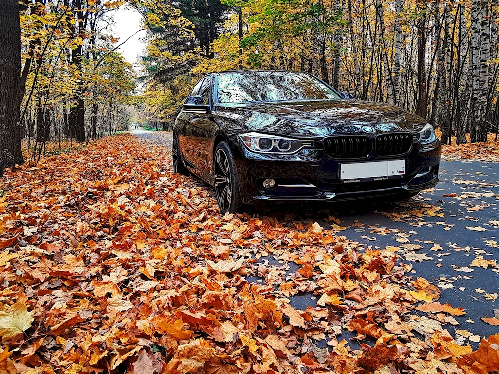 Machine in autumn