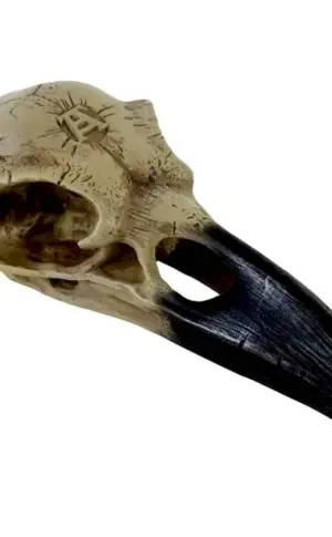 Crow skull mask