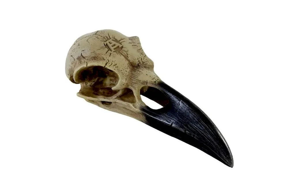 Crow skull mask