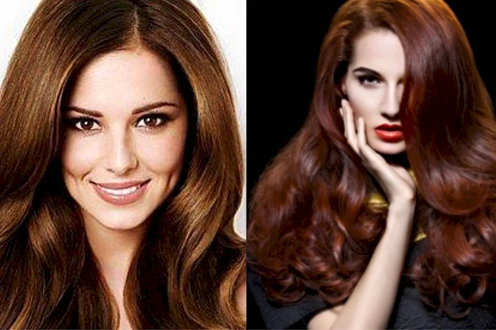 Matrix auburn shades