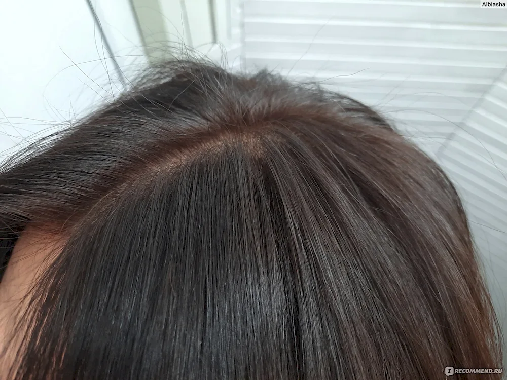 Matrix ash brown