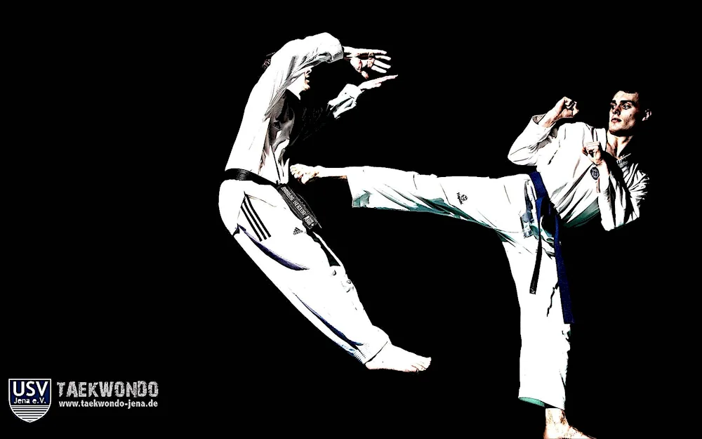 Mawashi Geri Jodan