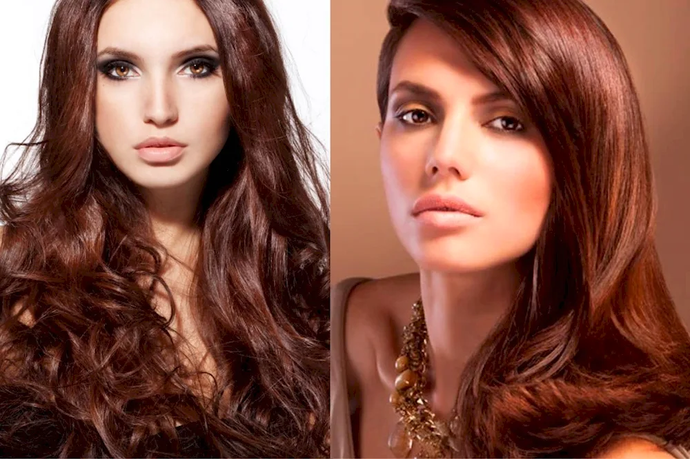 Mocha brown mocha brown mocha brown