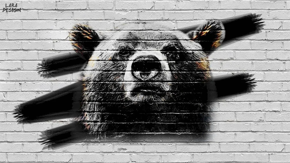 Bear art