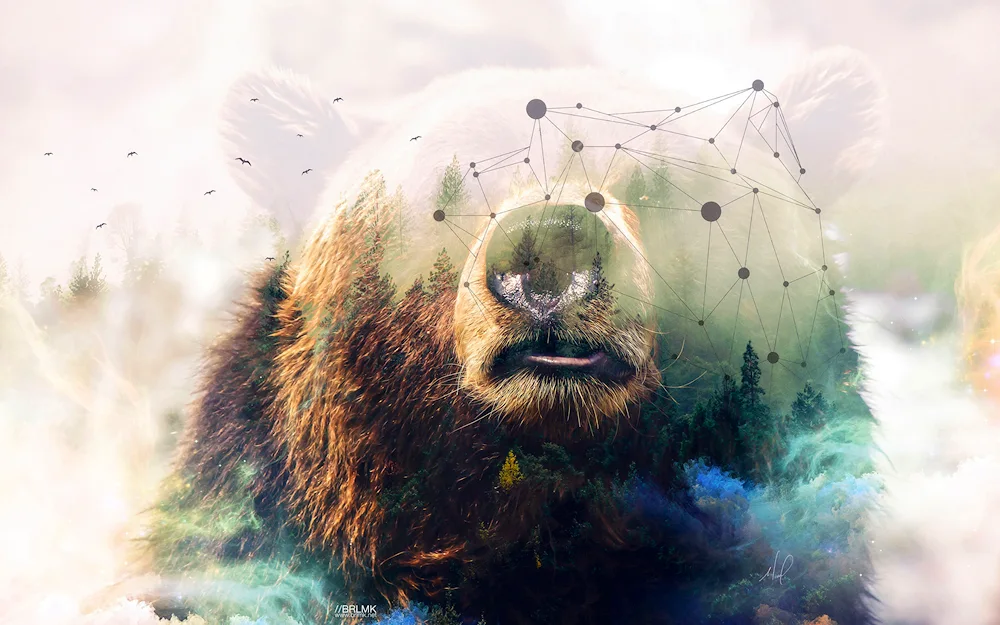 Bear on dark background