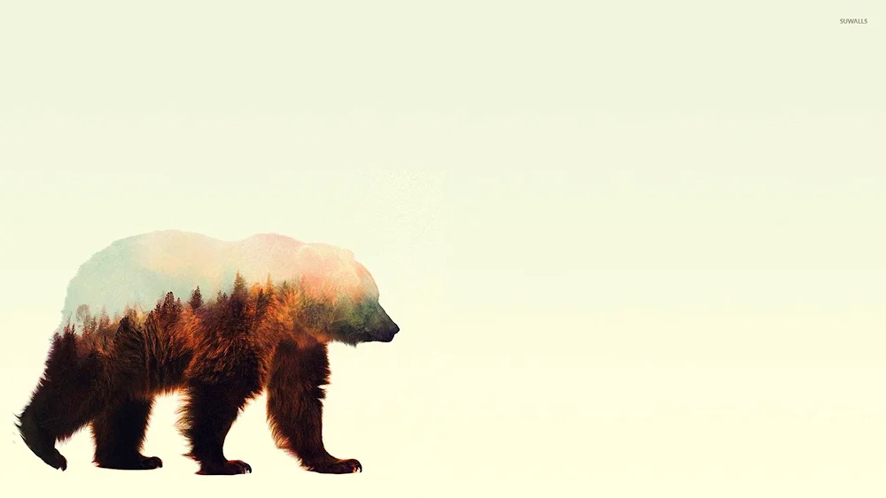 Bear on a dark background
