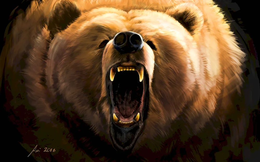 Bear art