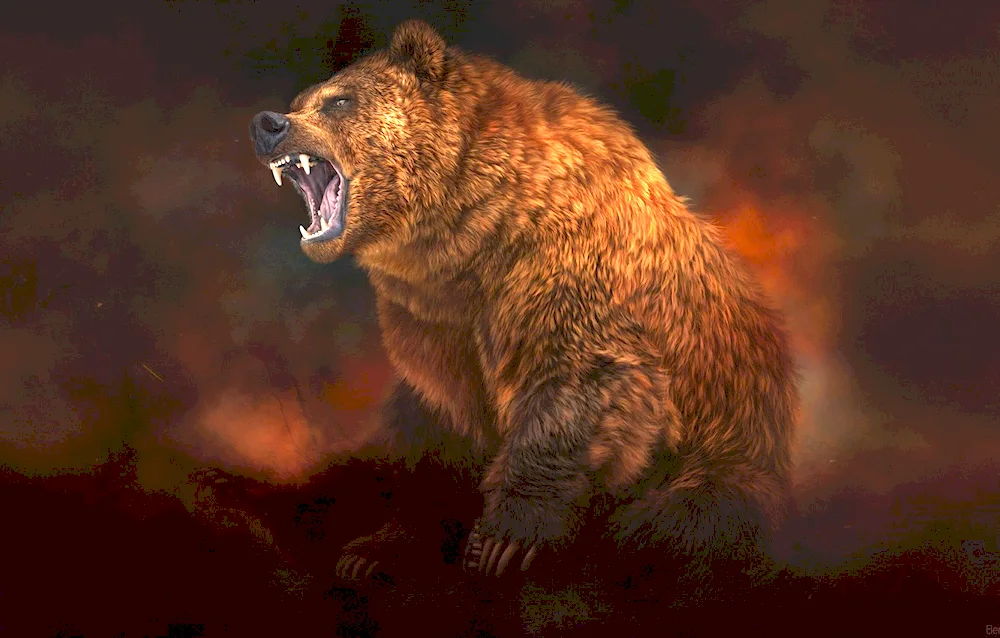 Grizzly bear Grizzly