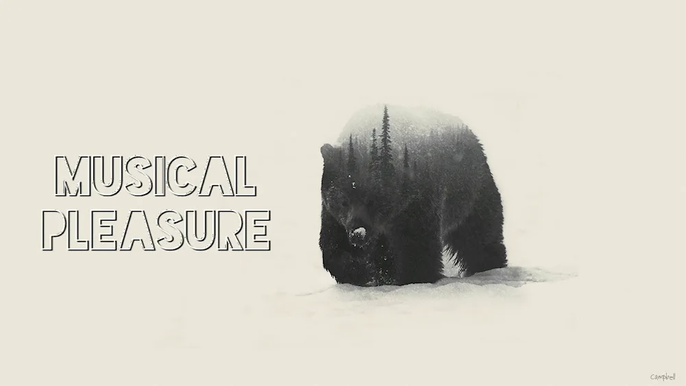 Minimalist bear