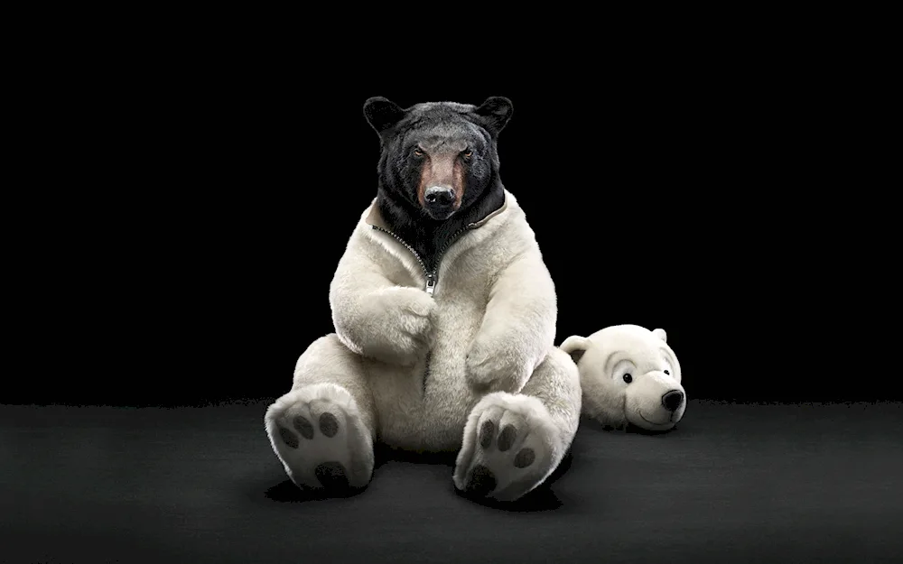 White bear