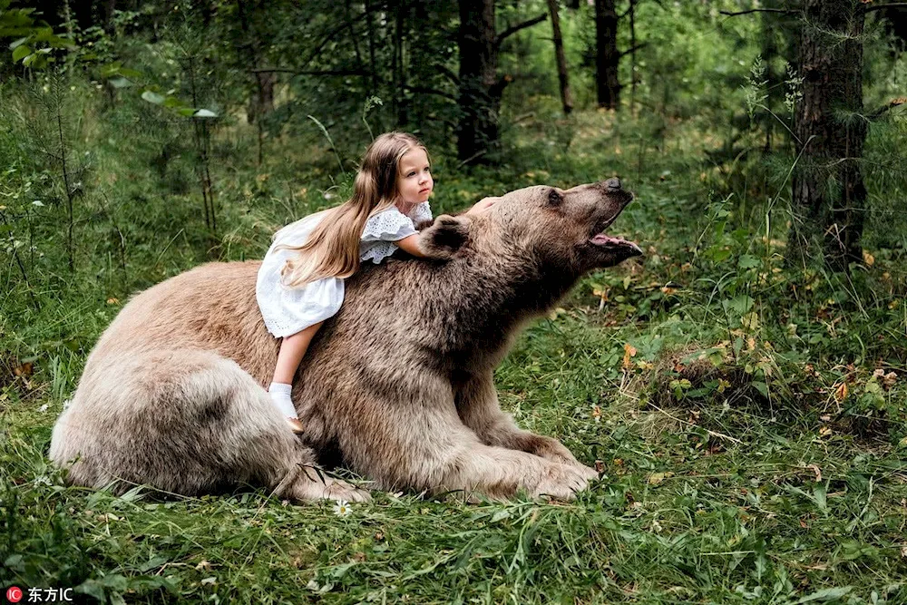 Igor Shpilenok bears of Kamchatka