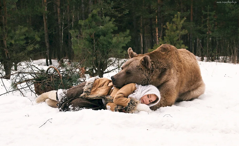 Bear in winter