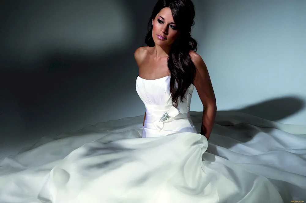 Fox in wedding dress