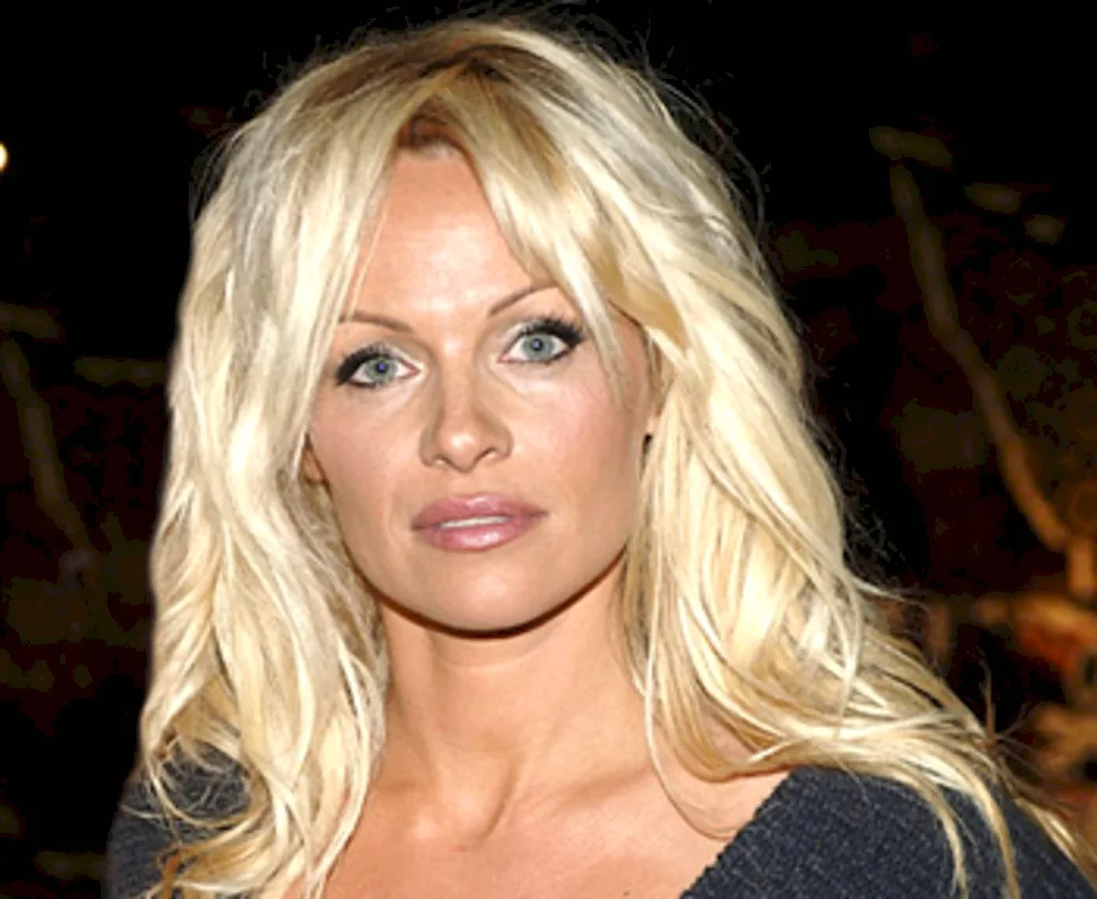 Pamela Anderson