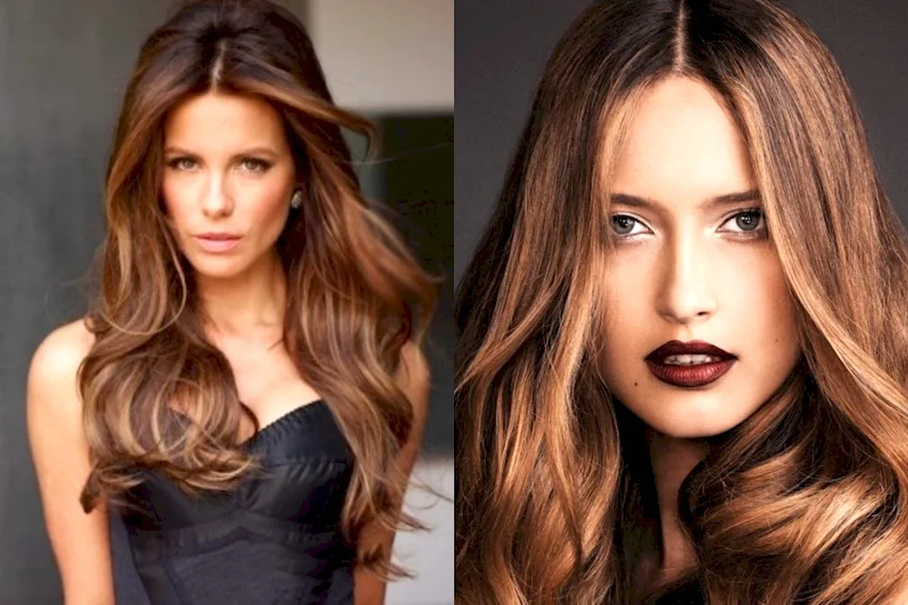 Pepple chestnut balayage