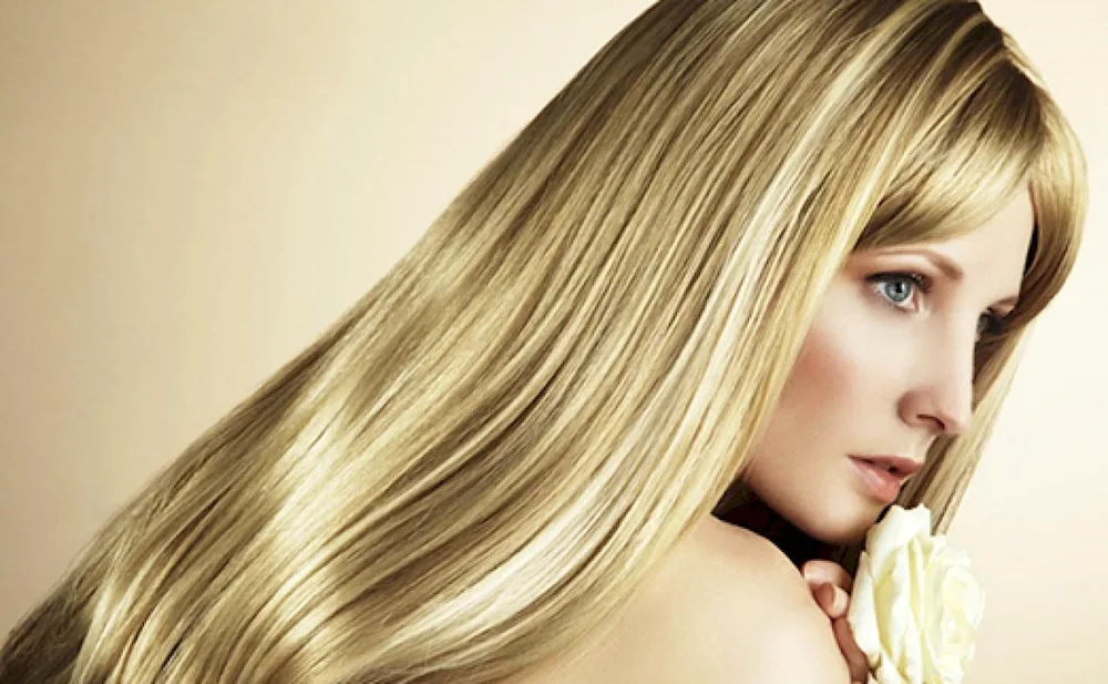 Small highlights on dark hair 2023