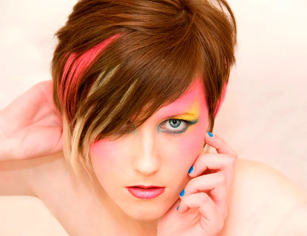 Pixie Bob 2022