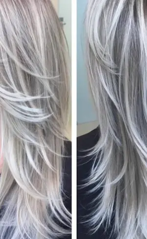 Silver Grey