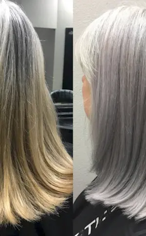 Silver Grey Colouring