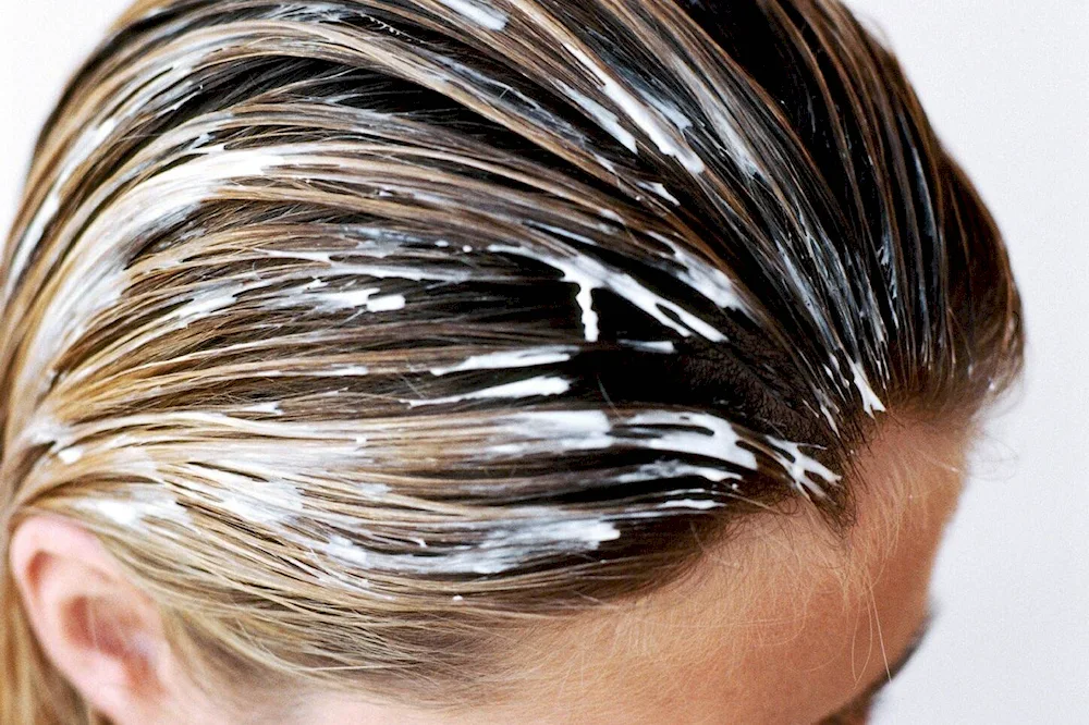 David Beckham Zebra 2023