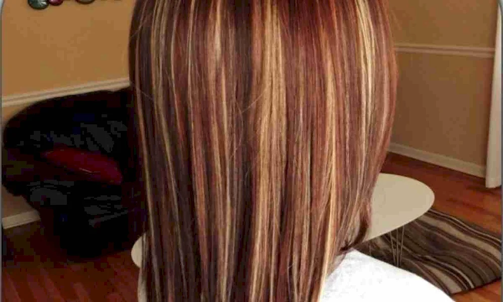 Chestnut hair with red strands