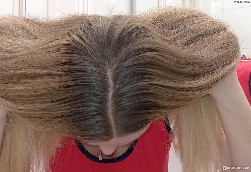 Root highlights