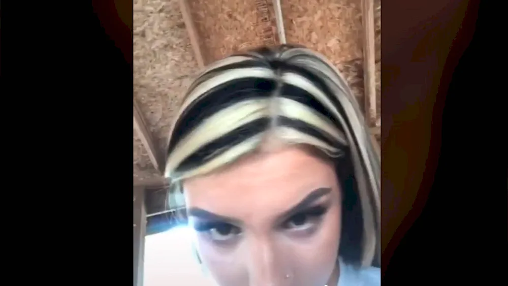 Zebra Colouring
