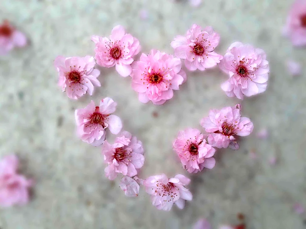 Small flowers