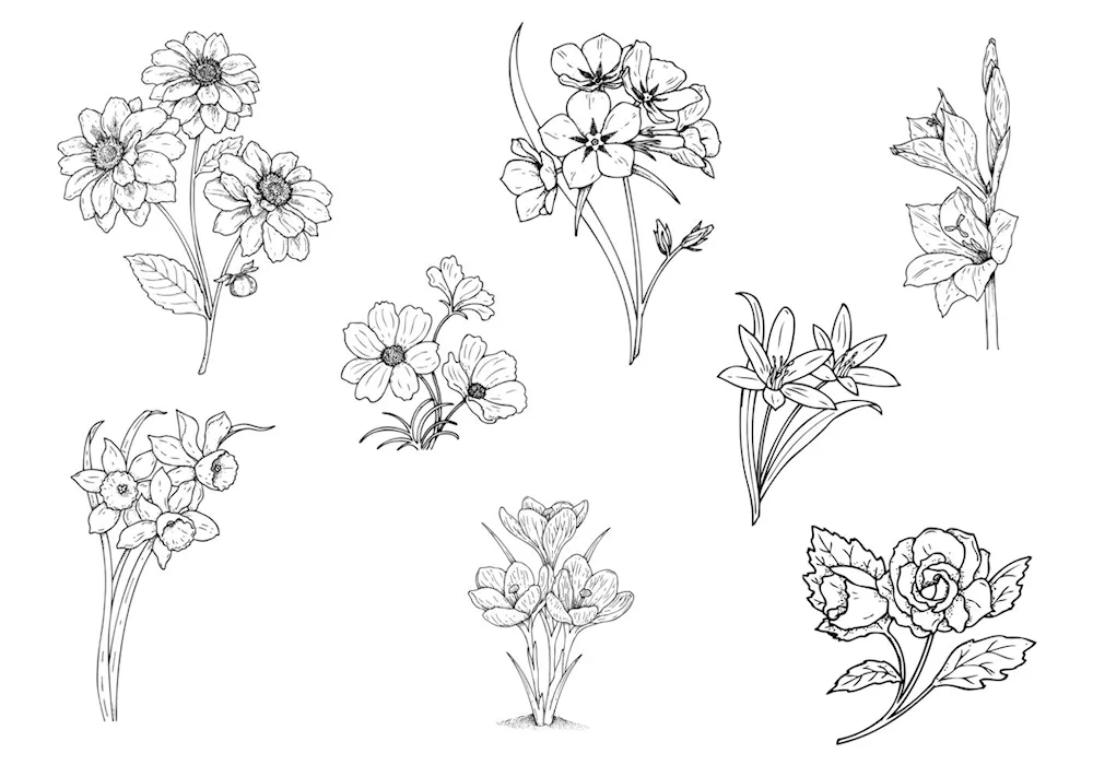 Flowers drawing
