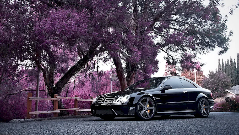 Mercedes s63 AMG under sakura