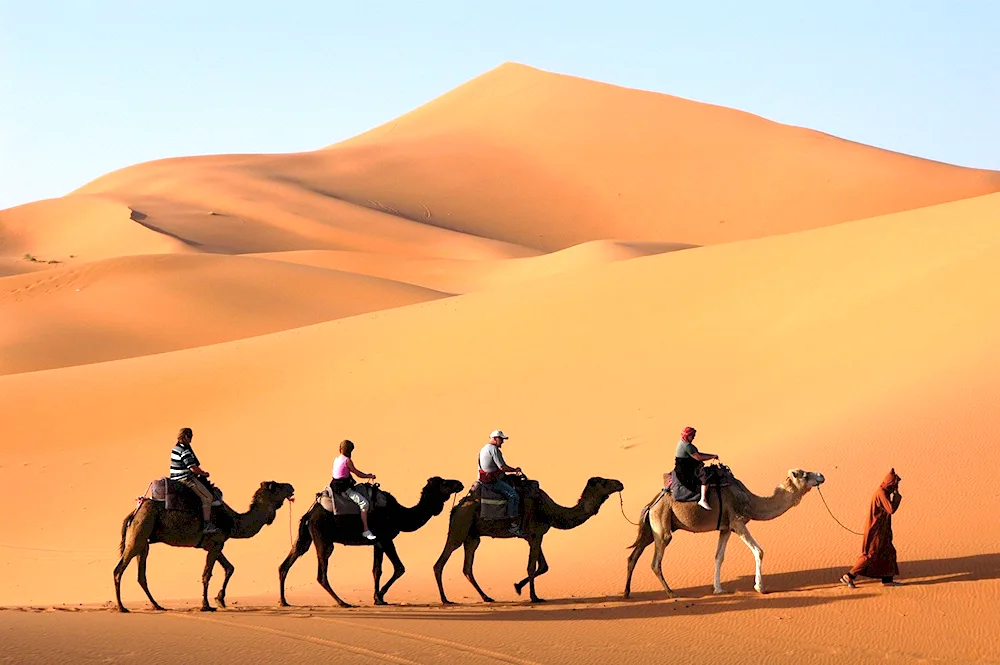 The Great Silk Road desert