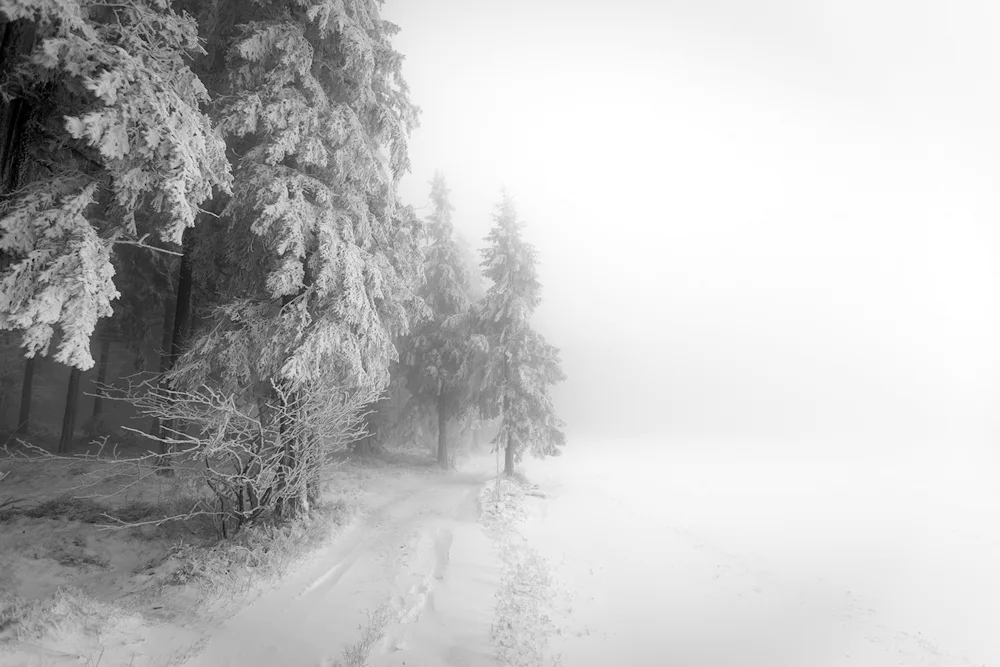 Winter landscape black white