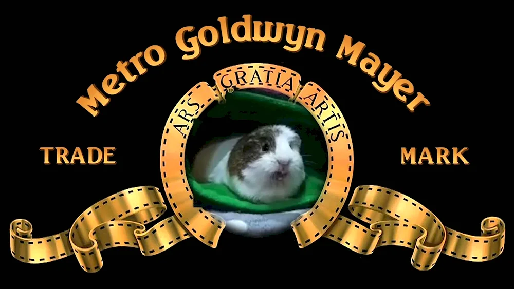 Metro Goldwyn Meyer logo