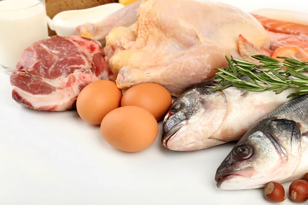 Salmon and fish