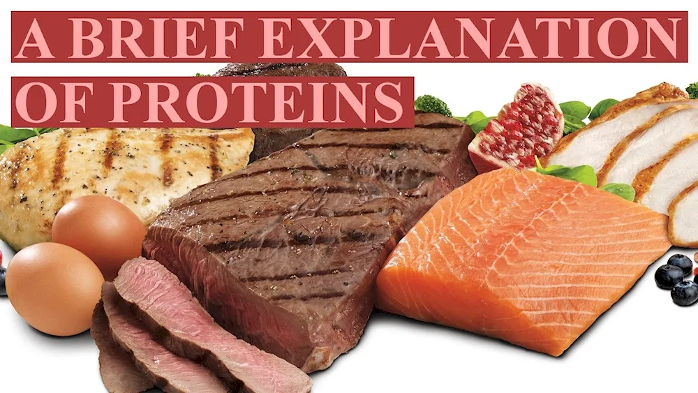 Meat and fish