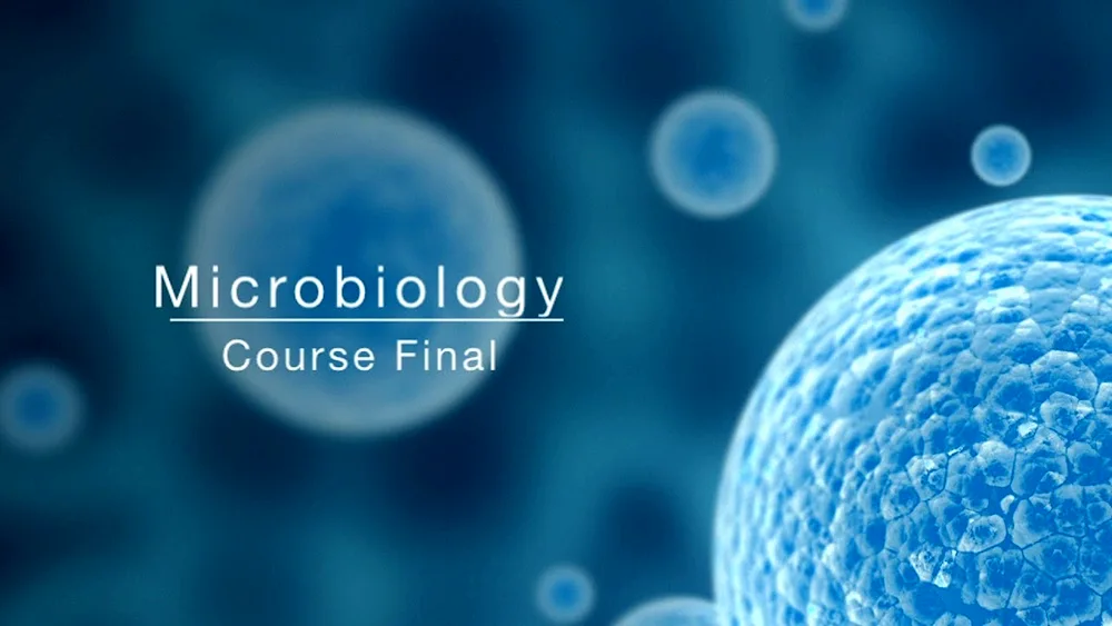 Microbiology background