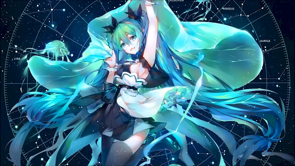 Miku. Hatsune 19