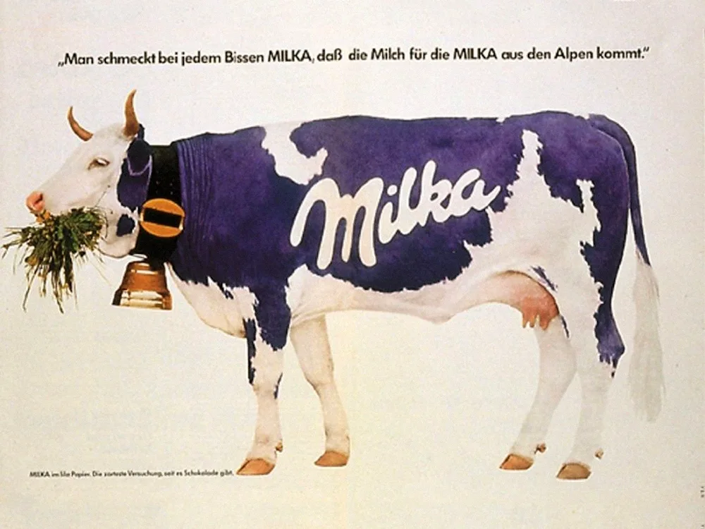 Milka cow