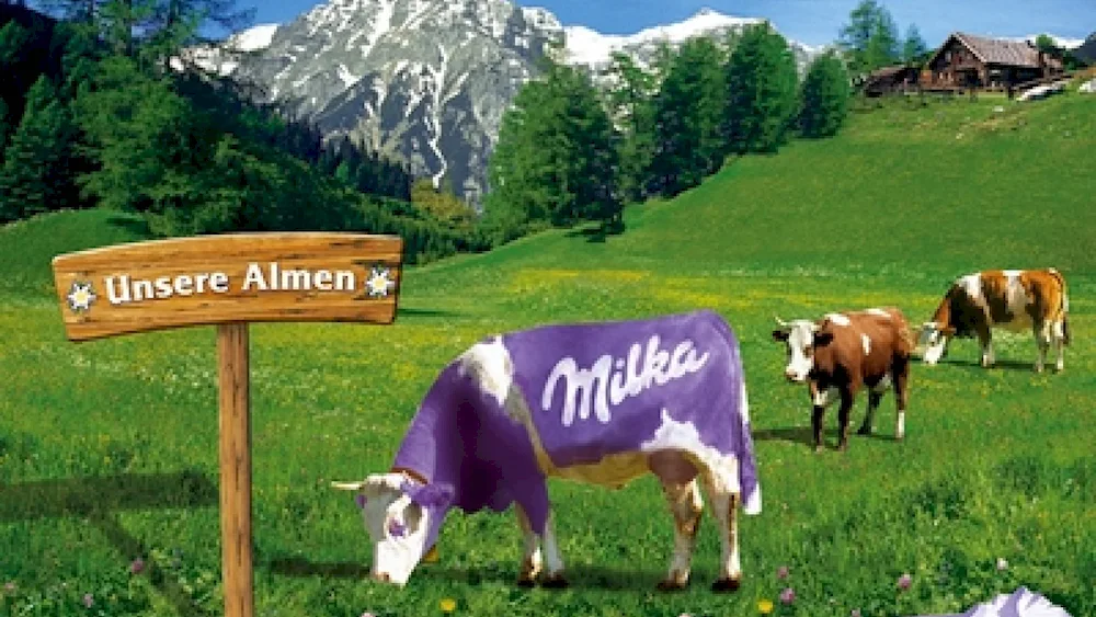 Milka wallpaper