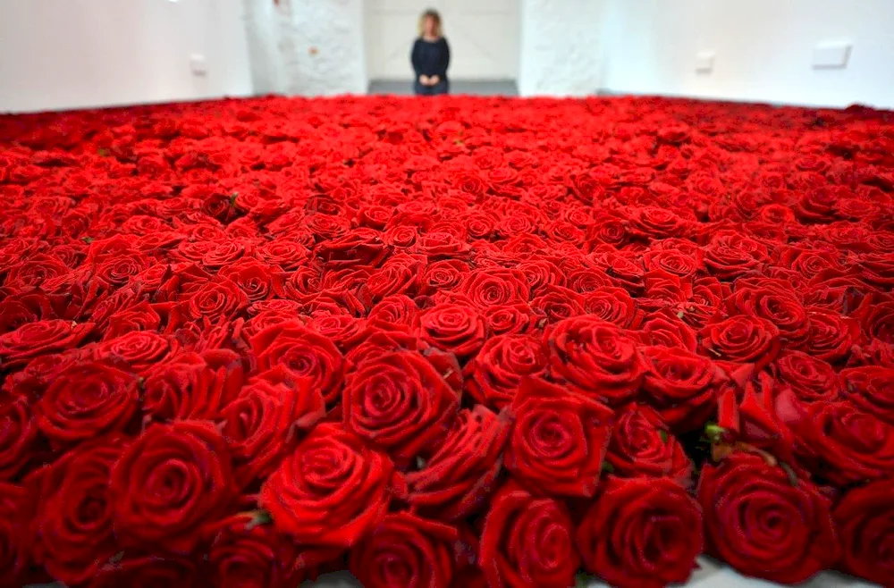 Million scarlet roses