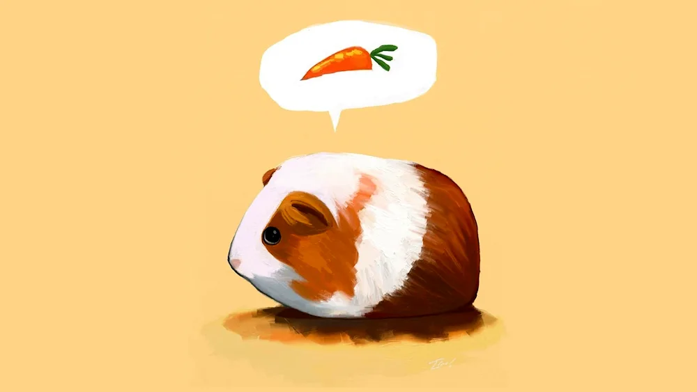 Hamster colouring