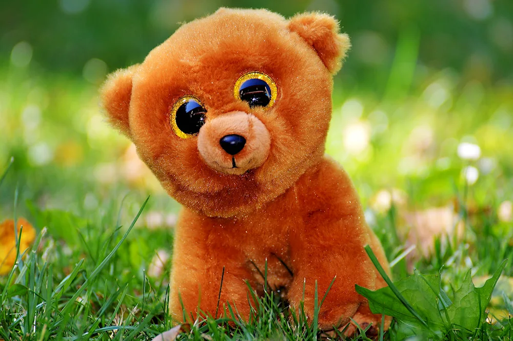 Plush teddy bear