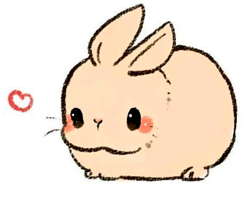 Bunny colouring for kids
