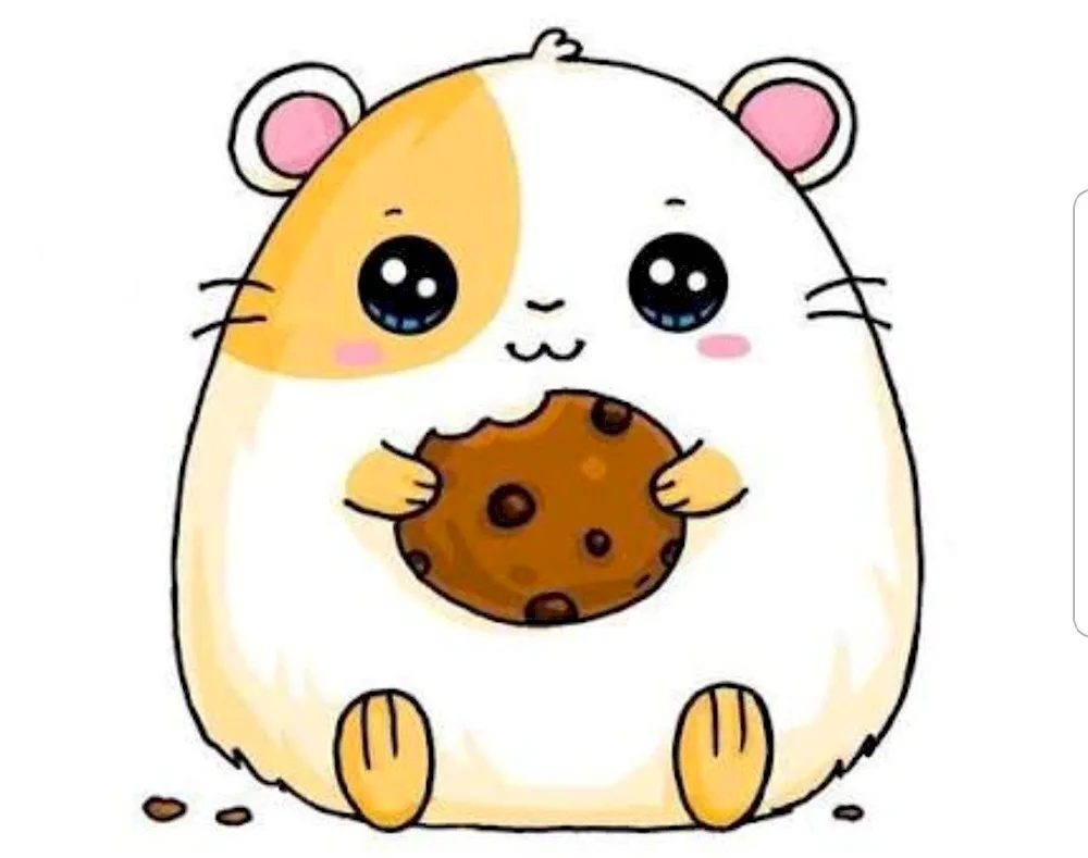 Hamtaro hamster