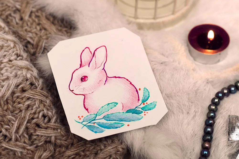 Cute drawings for sketchbook