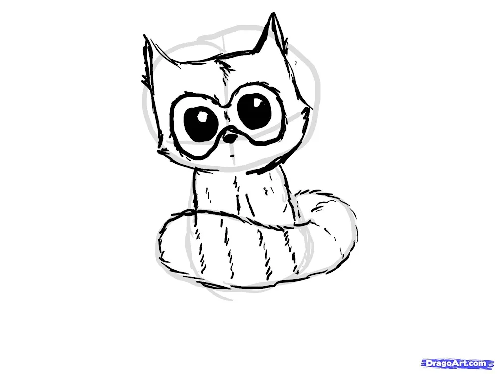 Raccoon- Striped