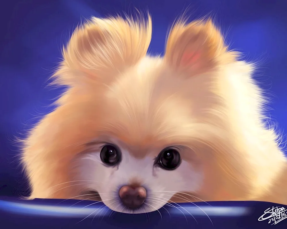 Cute dogs