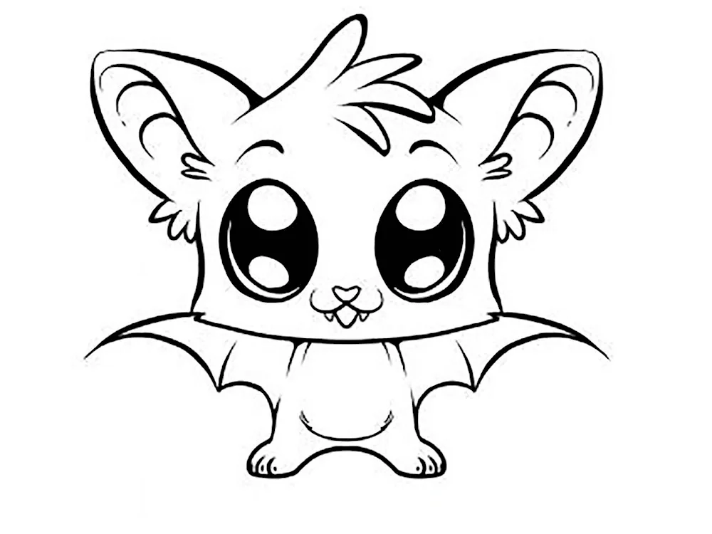 Animal drawings